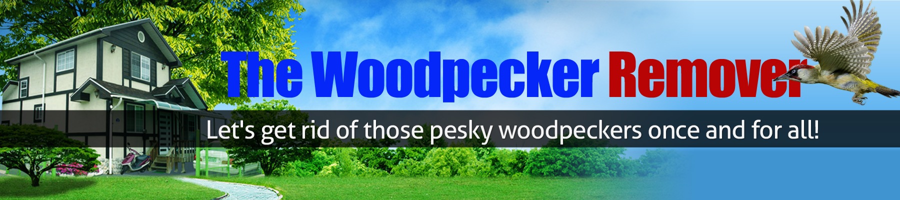 The Woodpecker Remover